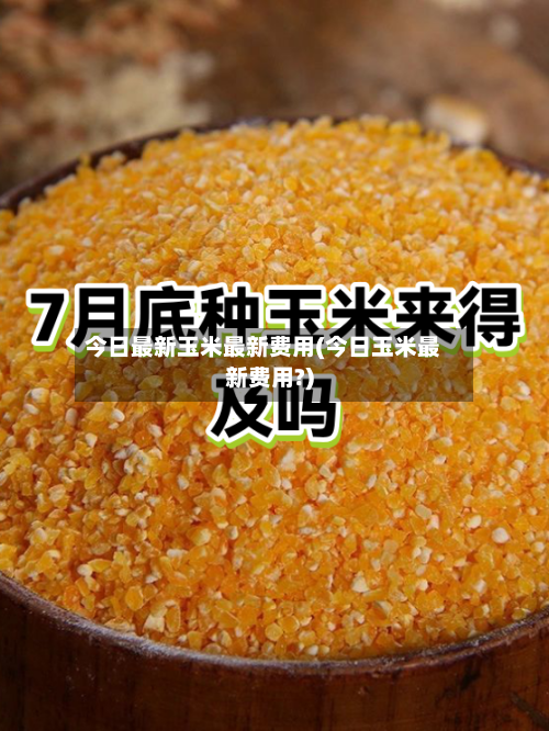 今日最新玉米最新费用(今日玉米最新费用?)-第2张图片