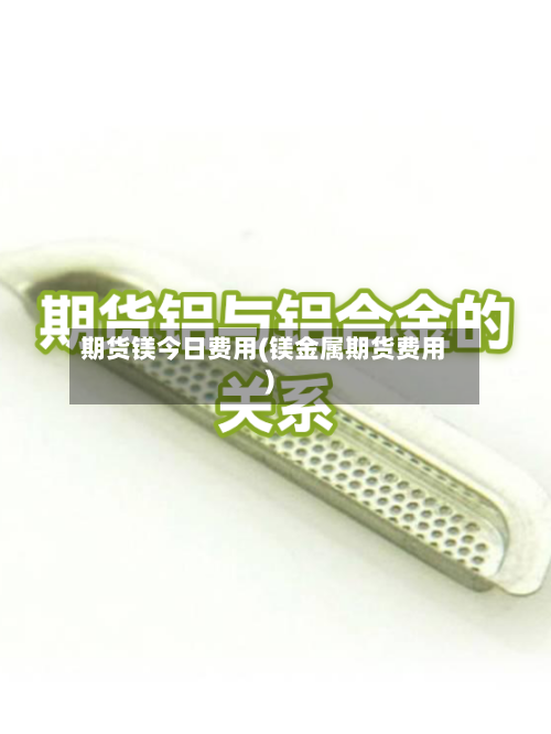 期货镁今日费用(镁金属期货费用)-第2张图片
