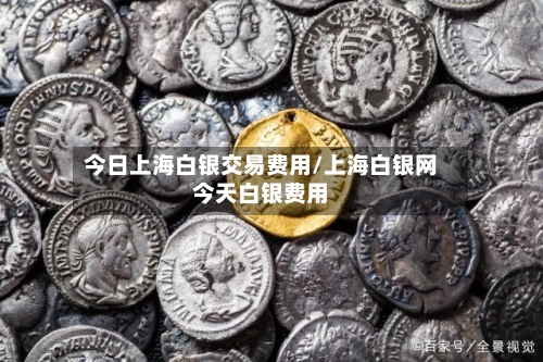 今日上海白银交易费用/上海白银网今天白银费用-第1张图片