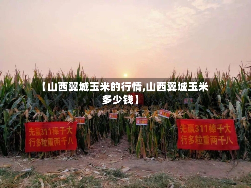 【山西翼城玉米的行情,山西翼城玉米多少钱】-第2张图片