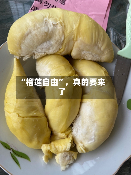 “榴莲自由	”，真的要来了-第2张图片