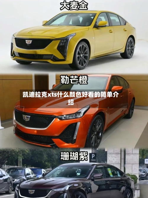 凯迪拉克xts什么颜色好看的简单介绍-第1张图片
