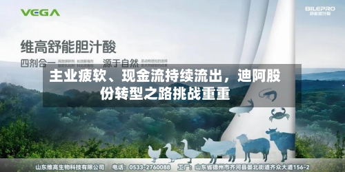 主业疲软	、现金流持续流出	，迪阿股份转型之路挑战重重-第2张图片