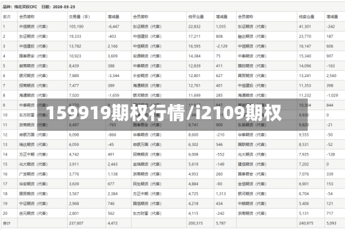 159919期权行情/i2109期权-第3张图片