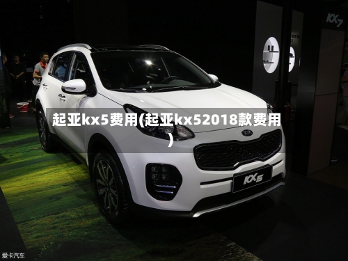 起亚kx5费用(起亚kx52018款费用)-第2张图片