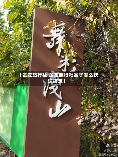 【金龙旅行社,金龙旅行社案子怎么快速搞定】-第2张图片