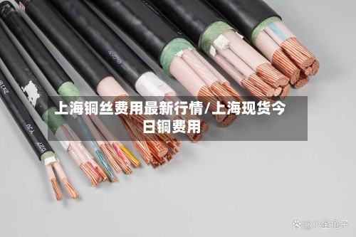 上海铜丝费用最新行情/上海现货今日铜费用-第1张图片