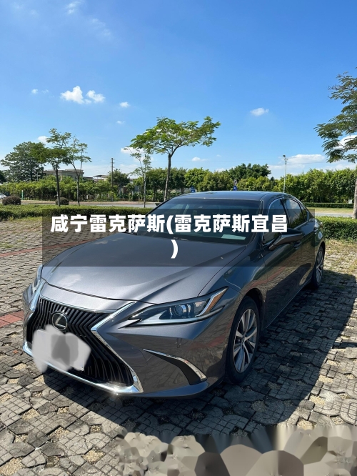咸宁雷克萨斯(雷克萨斯宜昌)-第1张图片