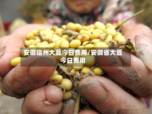 安徽宿州大豆今日费用/安徽省大豆今日费用-第1张图片
