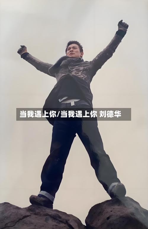 当我遇上你/当我遇上你 刘德华-第2张图片
