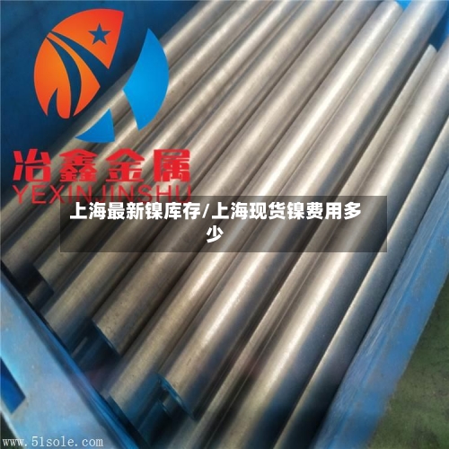 上海最新镍库存/上海现货镍费用多少-第2张图片