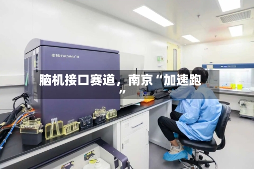 脑机接口赛道	，南京“加速跑”-第2张图片