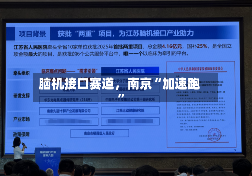 脑机接口赛道，南京“加速跑”-第1张图片