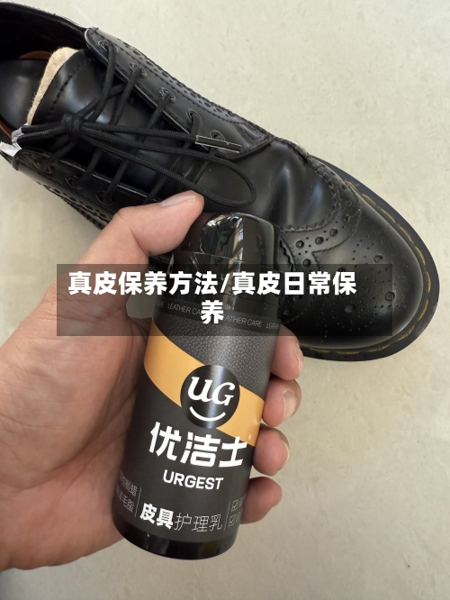 真皮保养方法/真皮日常保养-第2张图片