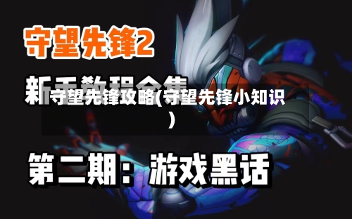 守望先锋攻略(守望先锋小知识)-第3张图片
