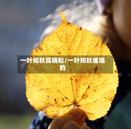 一叶知秋高晓松/一叶知秋谁唱的-第1张图片