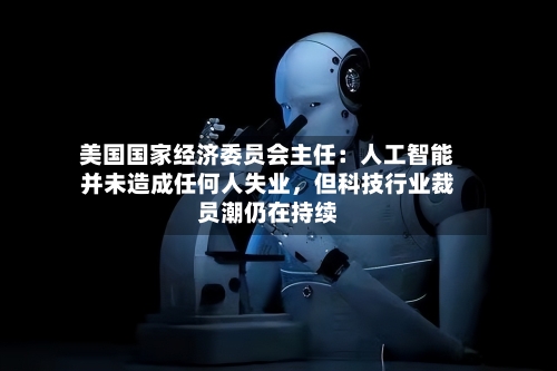 美国国家经济委员会主任：人工智能并未造成任何人失业	，但科技行业裁员潮仍在持续-第2张图片