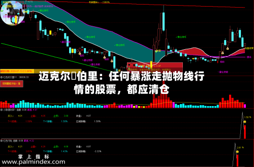 迈克尔・伯里：任何暴涨走抛物线行情的股票	，都应清仓-第1张图片