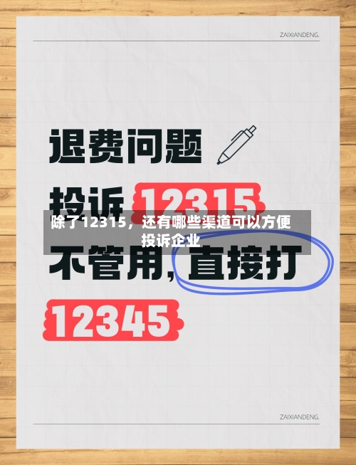 除了12315，还有哪些渠道可以方便投诉企业-第2张图片