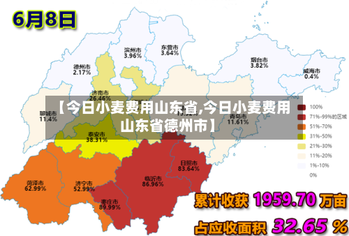 【今日小麦费用山东省,今日小麦费用山东省德州市】-第1张图片