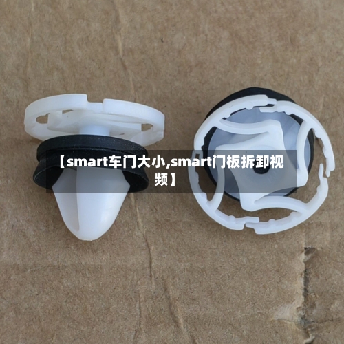 【smart车门大小,smart门板拆卸视频】-第2张图片
