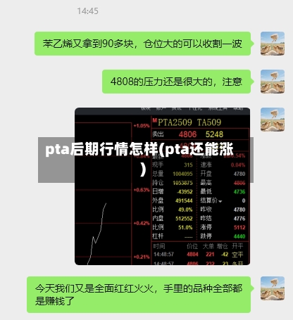 pta后期行情怎样(pta还能涨)-第3张图片