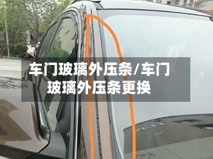 车门玻璃外压条/车门玻璃外压条更换-第3张图片