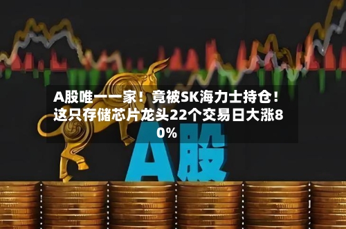 A股唯一一家！竟被SK海力士持仓！这只存储芯片龙头22个交易日大涨80%-第1张图片