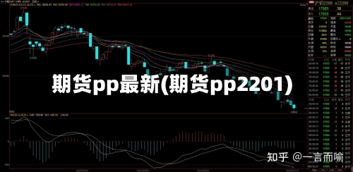 期货pp最新(期货pp2201)-第2张图片