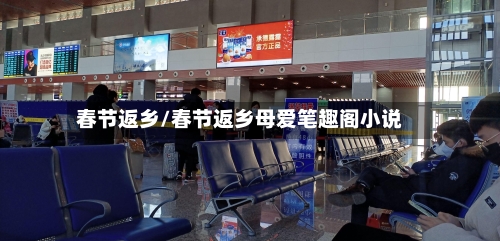 春节返乡/春节返乡母爱笔趣阁小说-第2张图片
