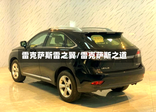 雷克萨斯雷之翼/雷克萨斯之道-第2张图片