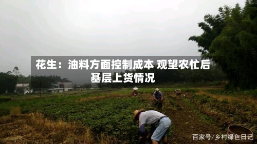 花生：油料方面控制成本 观望农忙后基层上货情况-第1张图片