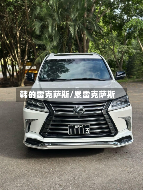 韩的雷克萨斯/累雷克萨斯-第1张图片