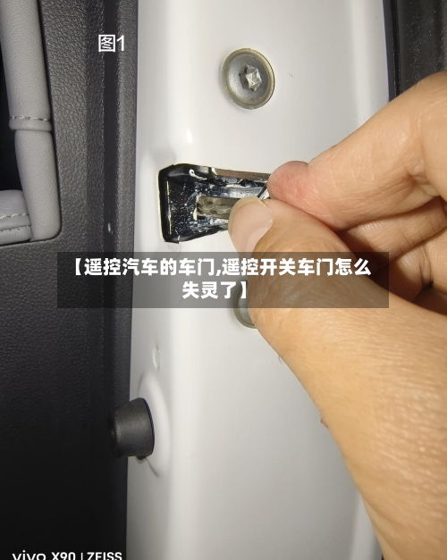 【遥控汽车的车门,遥控开关车门怎么失灵了】-第2张图片