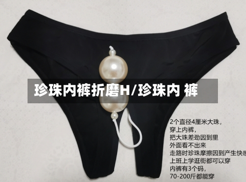珍珠内裤折磨H/珍珠内 裤-第2张图片