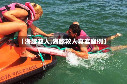 【海豚救人,海豚救人真实案例】-第1张图片