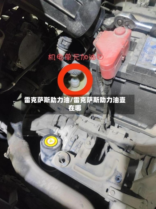 雷克萨斯助力油/雷克萨斯助力油壶在哪-第2张图片