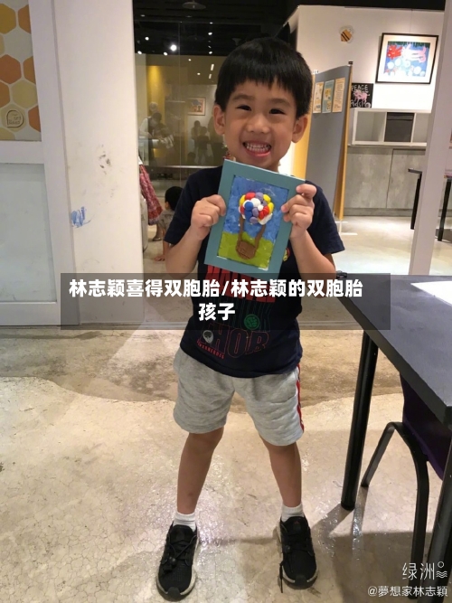 林志颖喜得双胞胎/林志颖的双胞胎孩子-第2张图片