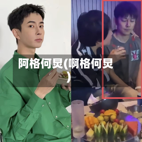 阿格何炅(啊格何炅)-第1张图片