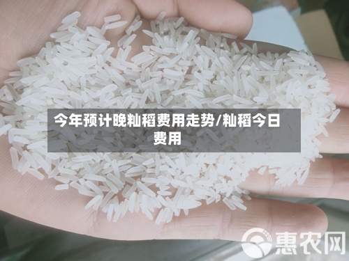 今年预计晚籼稻费用走势/籼稻今日费用-第3张图片