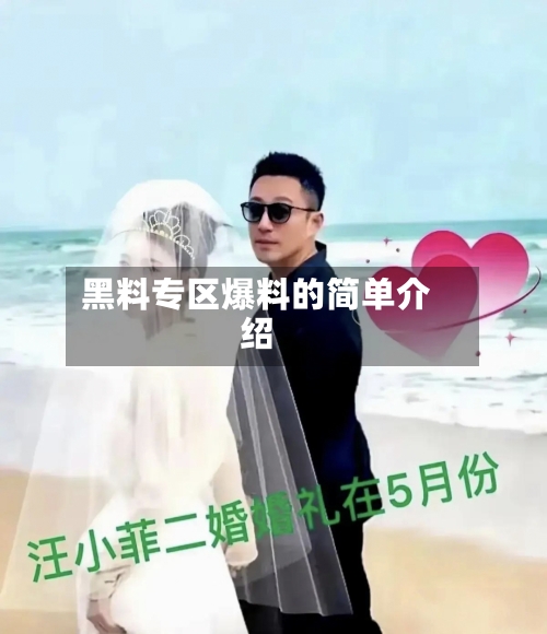 黑料专区爆料的简单介绍-第1张图片