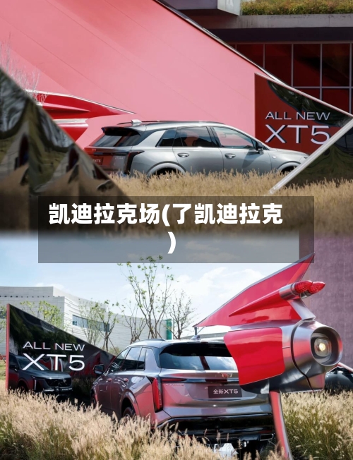 凯迪拉克场(了凯迪拉克)-第1张图片