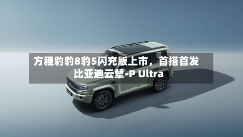 方程豹豹8豹5闪充版上市，首搭首发比亚迪云辇-P Ultra-第2张图片