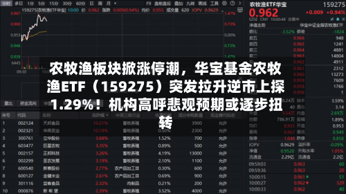 农牧渔板块掀涨停潮，华宝基金农牧渔ETF（159275）突发拉升逆市上探1.29%！机构高呼悲观预期或逐步扭转-第1张图片