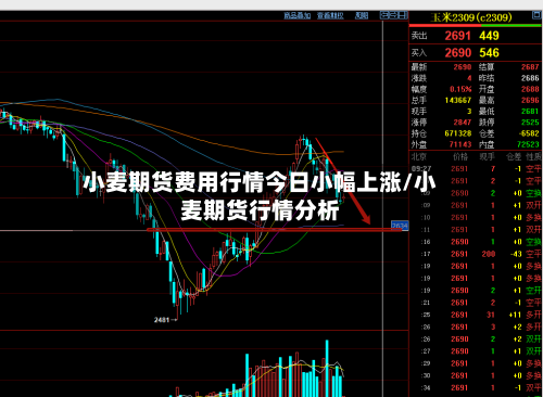 小麦期货费用行情今日小幅上涨/小麦期货行情分析-第3张图片