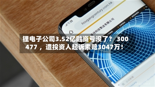 锂电子公司3.52亿融资亏没了？ 300477 ，遭投资人起诉索赔3047万！-第2张图片