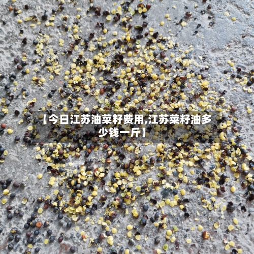 【今日江苏油菜籽费用,江苏菜籽油多少钱一斤】-第1张图片