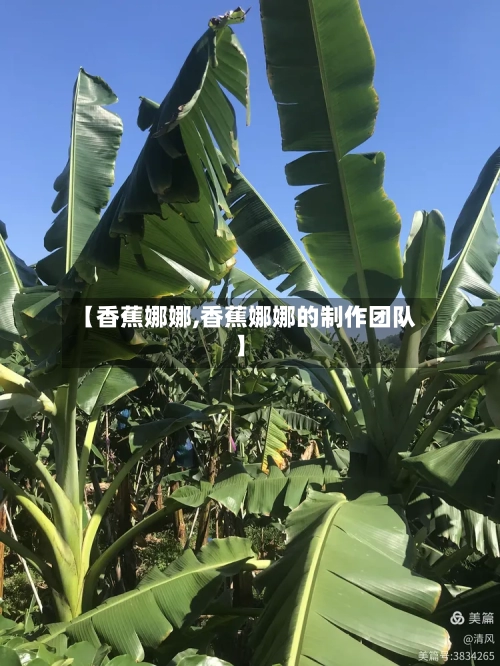 【香蕉娜娜,香蕉娜娜的制作团队】-第2张图片