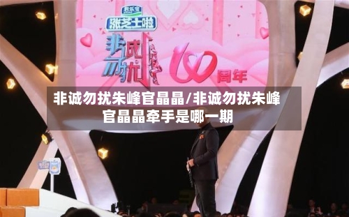 非诚勿扰朱峰官晶晶/非诚勿扰朱峰官晶晶牵手是哪一期-第1张图片