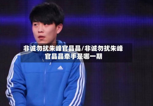 非诚勿扰朱峰官晶晶/非诚勿扰朱峰官晶晶牵手是哪一期-第3张图片